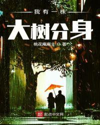 我有一棵大道树